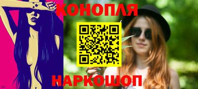 тгк Кингисепп