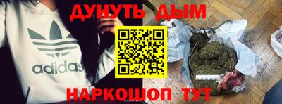 тгк Кингисепп
