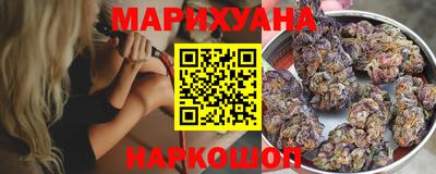 тгк Кингисепп