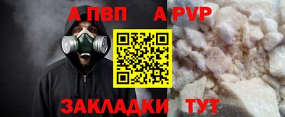 тгк Кингисепп