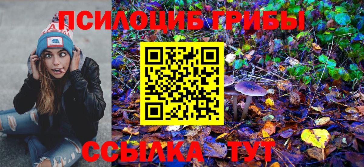 Псилоцибиновые грибы GOLDEN TEACHER  Вход с VPN  Псилоцибиновые грибы мухоморы  Котлас 
